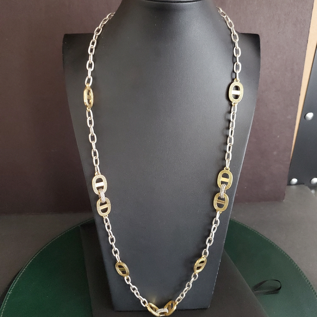 Etienne Aigner Long Necklace Textured Silver Tone Links With Gold Tone Accents